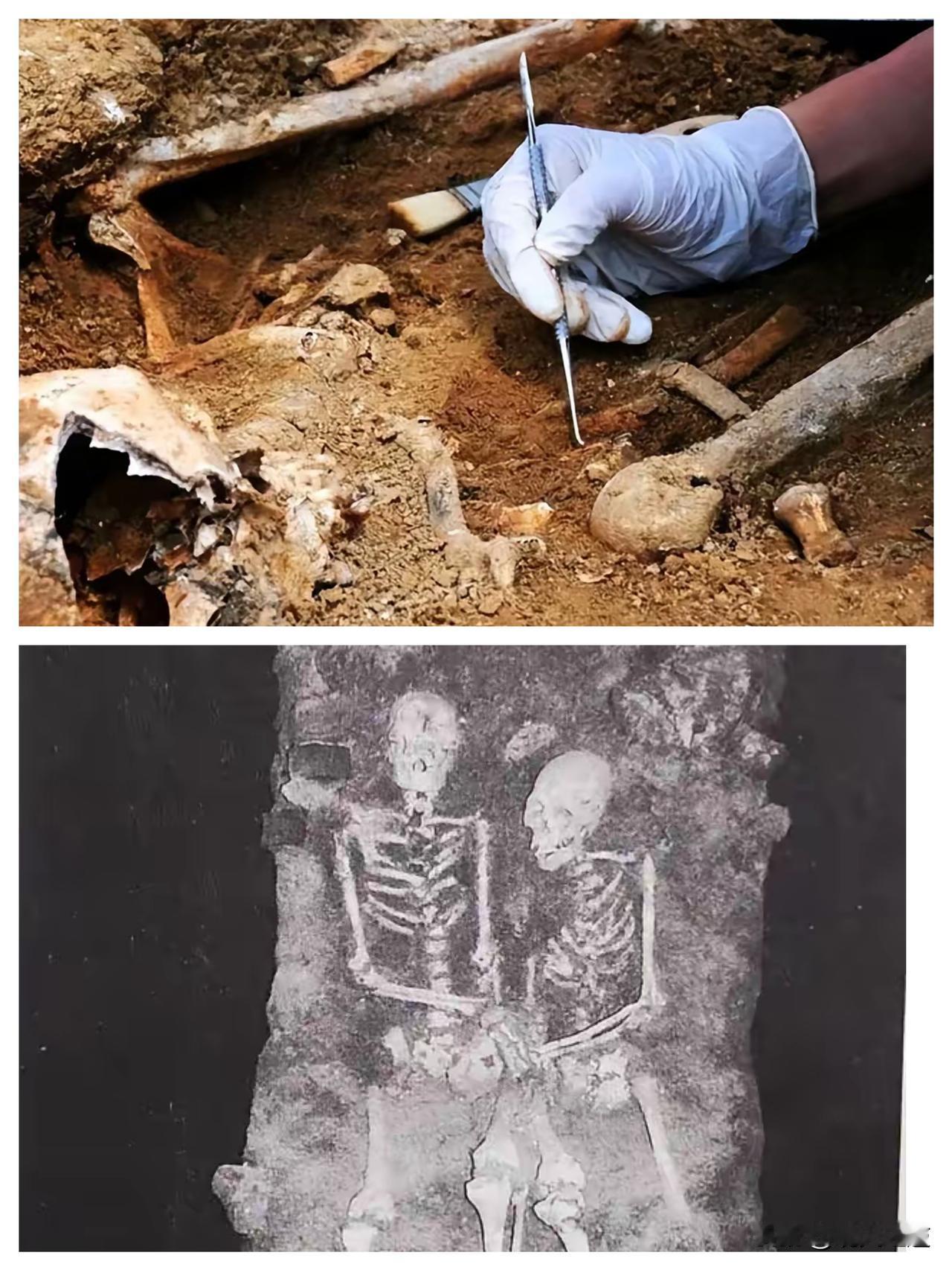 谁能想到，沈阳东华门的一锹土，竟挖出了八十多年前最戳心的倔强。那对拷在一起的男女