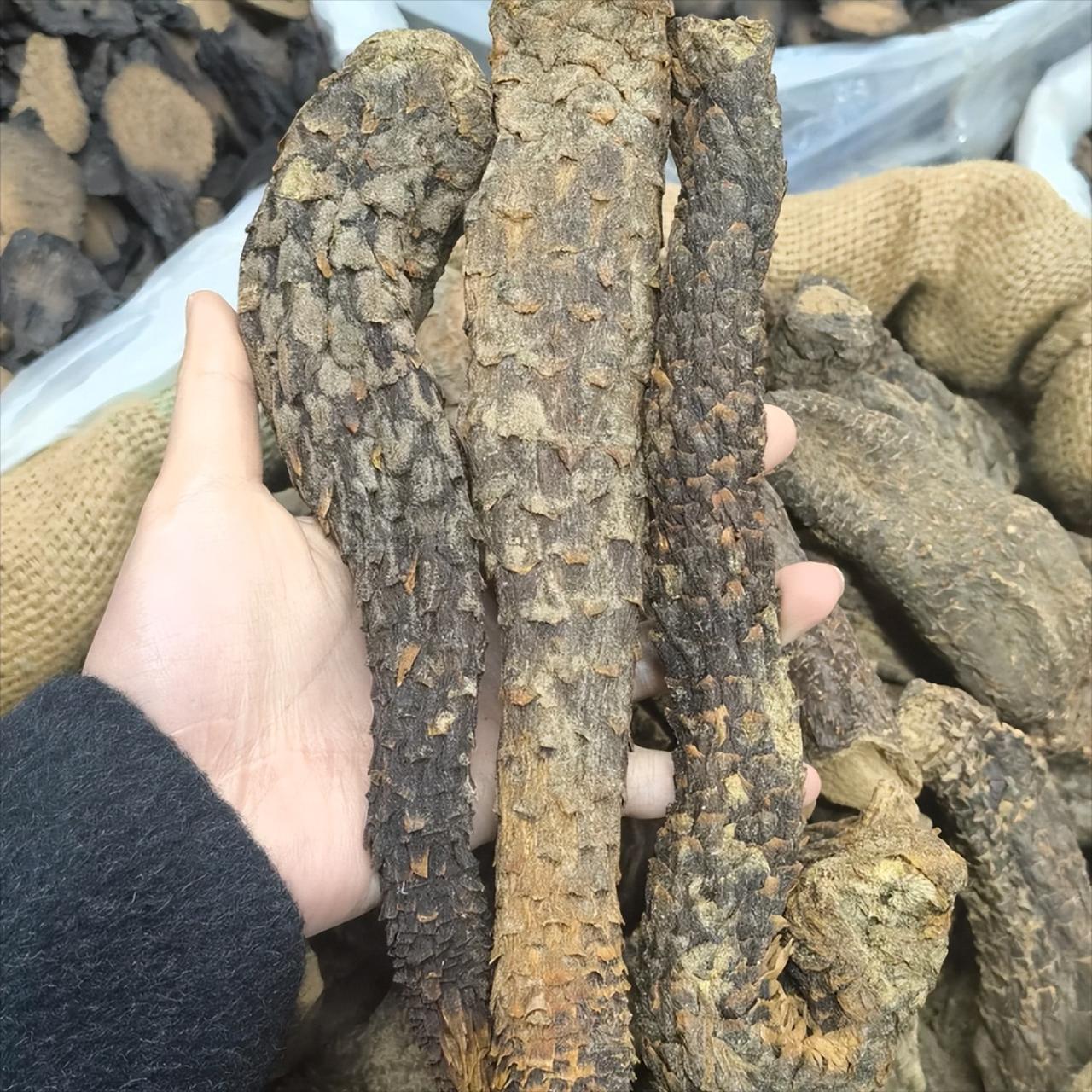 归脾丸调上焦治痿，柴胡疏肝丸通中焦固精，右归丸补下焦固本


都说三焦不通，阳痿