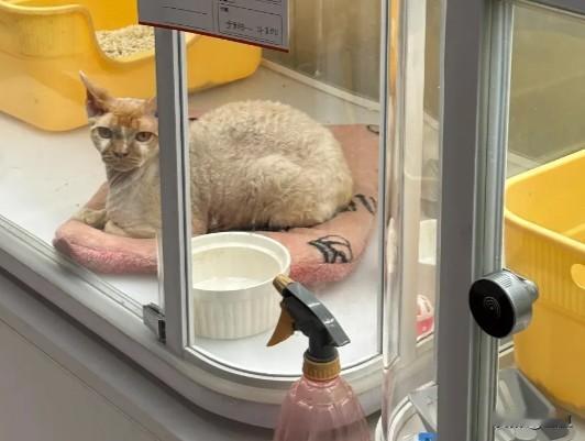 丢了工作就等于断了财路？这种想法早就过时了！现在的时代，谁还在乎那点死工资。
