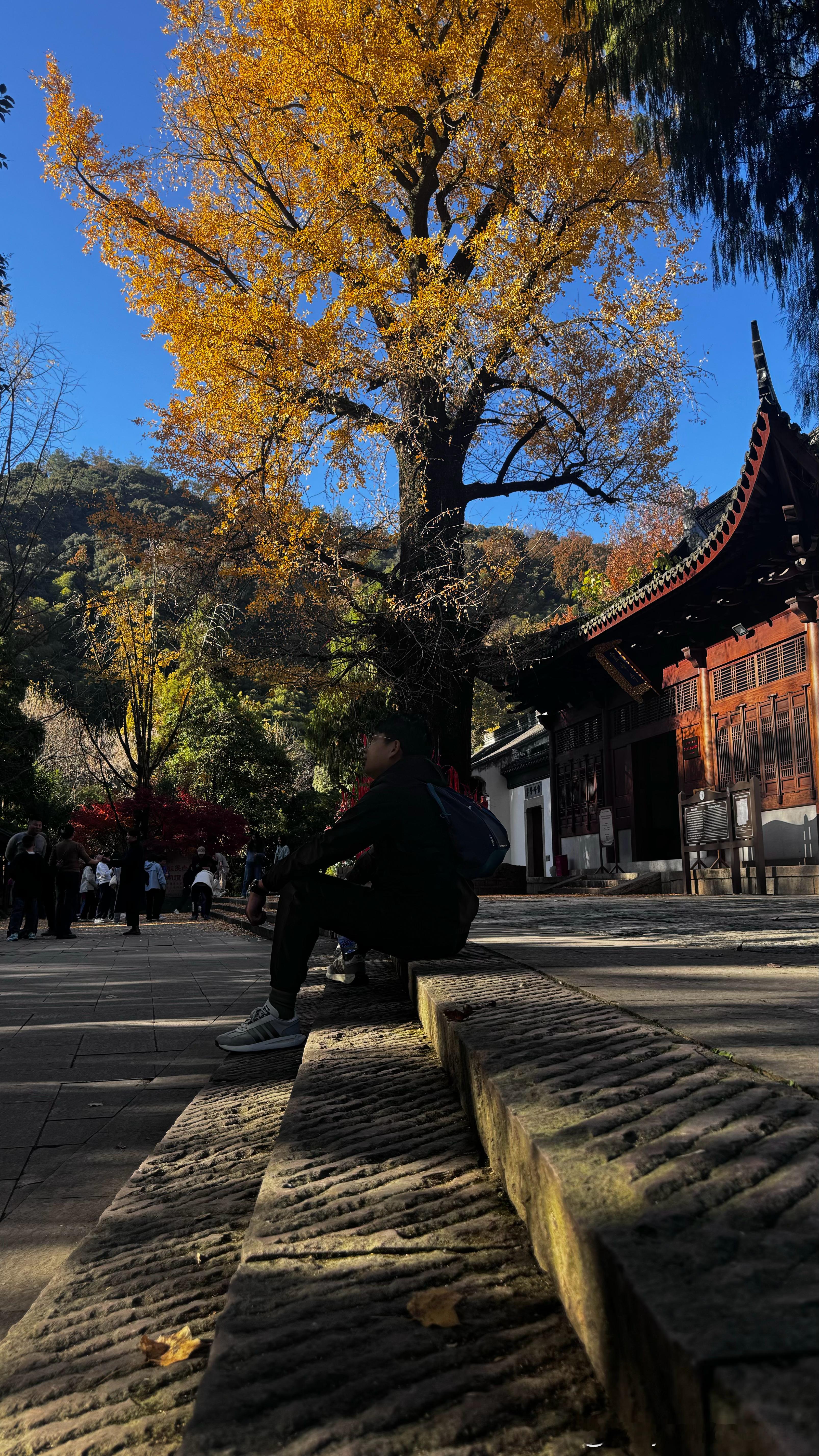 蛇马交替迎新春。除夕之夜，借微博平台祝所有小伙伴除去一切烦恼，留下健康快乐。新年