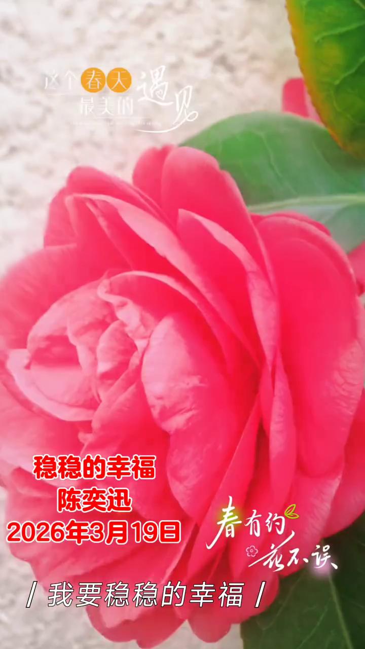 陈奕迅：这个春天，我要稳稳的幸福。
这个春天，我要稳稳的幸福。能抵挡末日的残酷，
