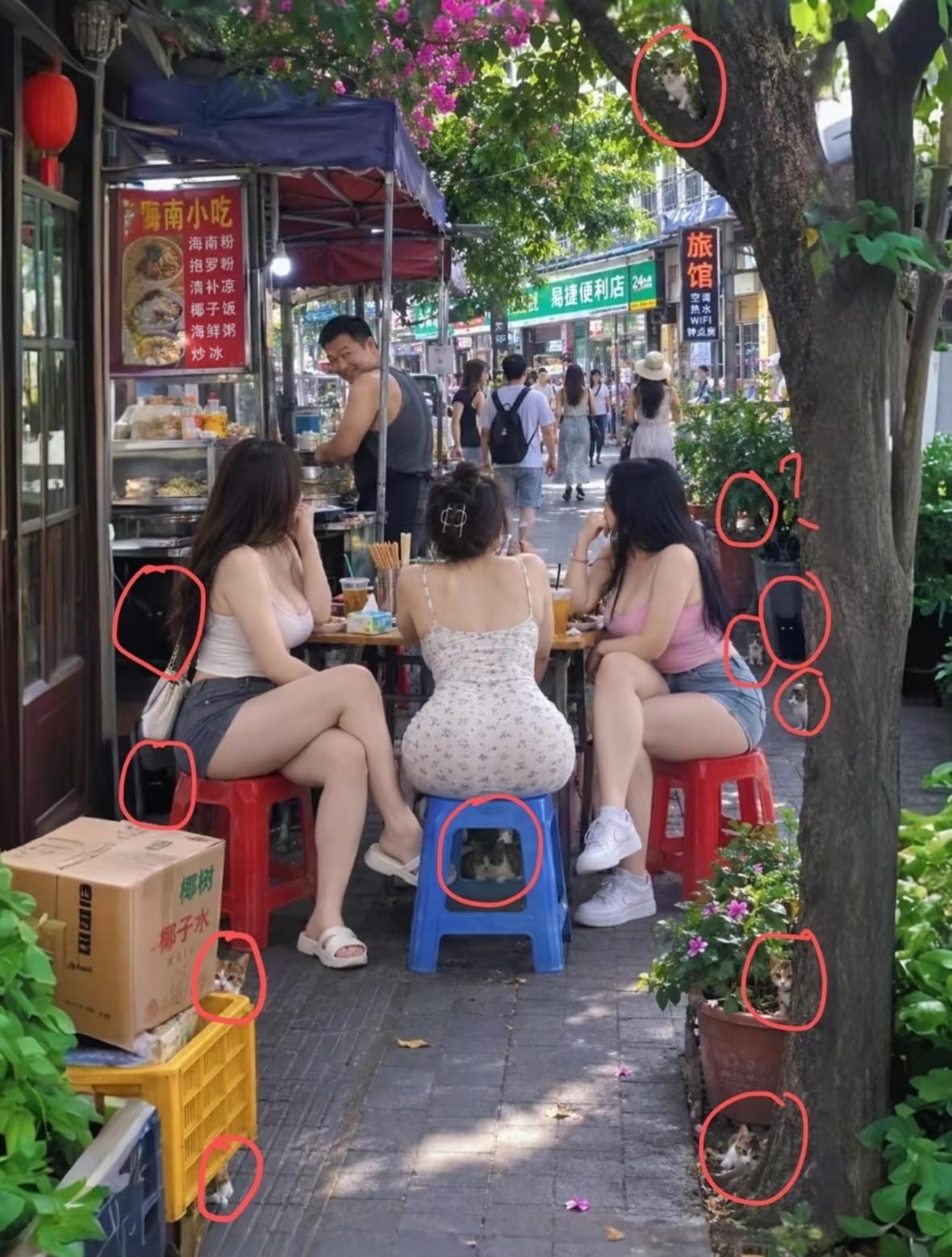 不经提示(画圈)能发现图中有5个以上小猫的绝对是高人，能发现8个以上的是超人。