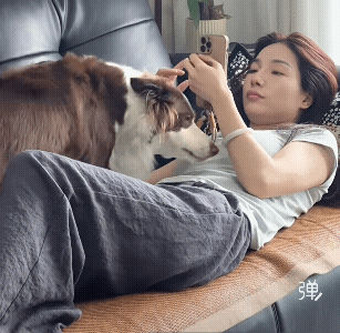 懂事又粘人的🐶