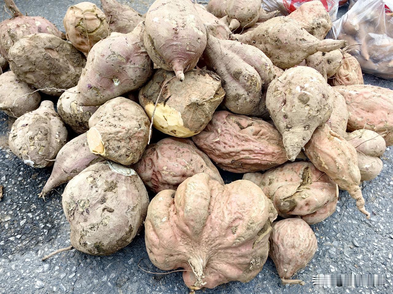 渭南市星期天集会。
渭南临渭区每个周末在原渭南市上涨渡大桥民生大街北段街道道路自