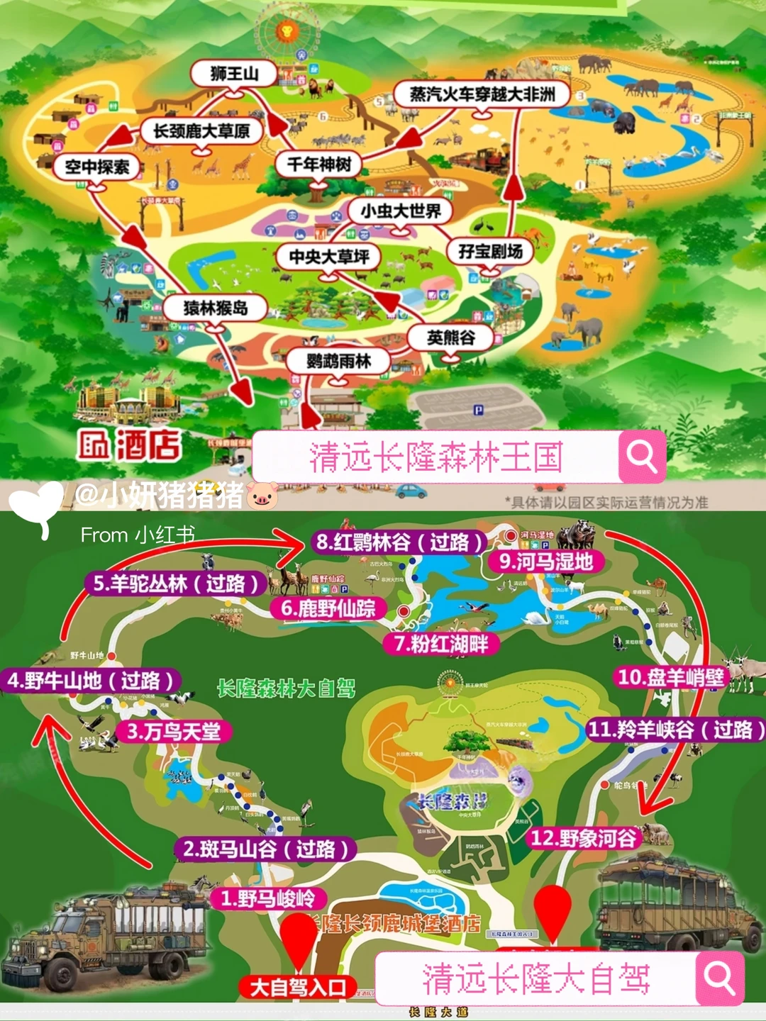 森林王国➕大自驾｜清远长隆2天1夜攻略✨
