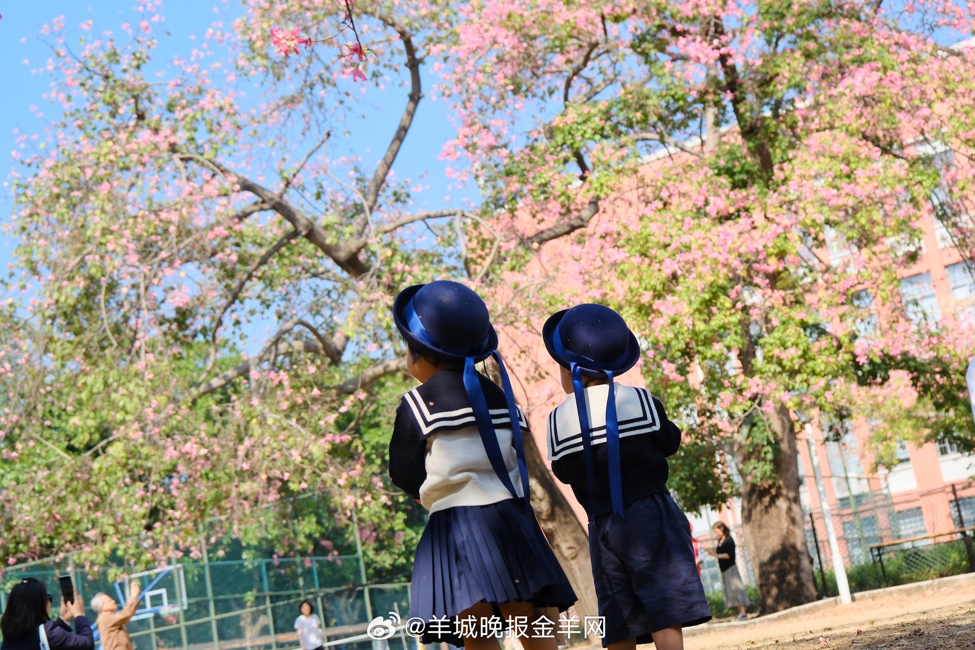 #早安# 今日的台阶已就位，风景正在高处更新。早安，请踏上你的专属旅程。 