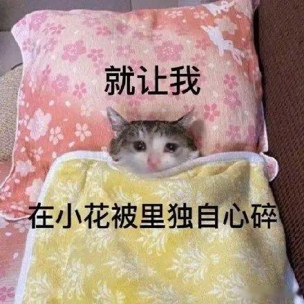 十指连心正想咧咧，手指被衣柜门夹了