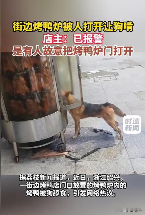 “太过分了！”8月23日报道，浙江绍兴，一个街边烤鸭炉旁，炉盖打开了，一条狗闻着