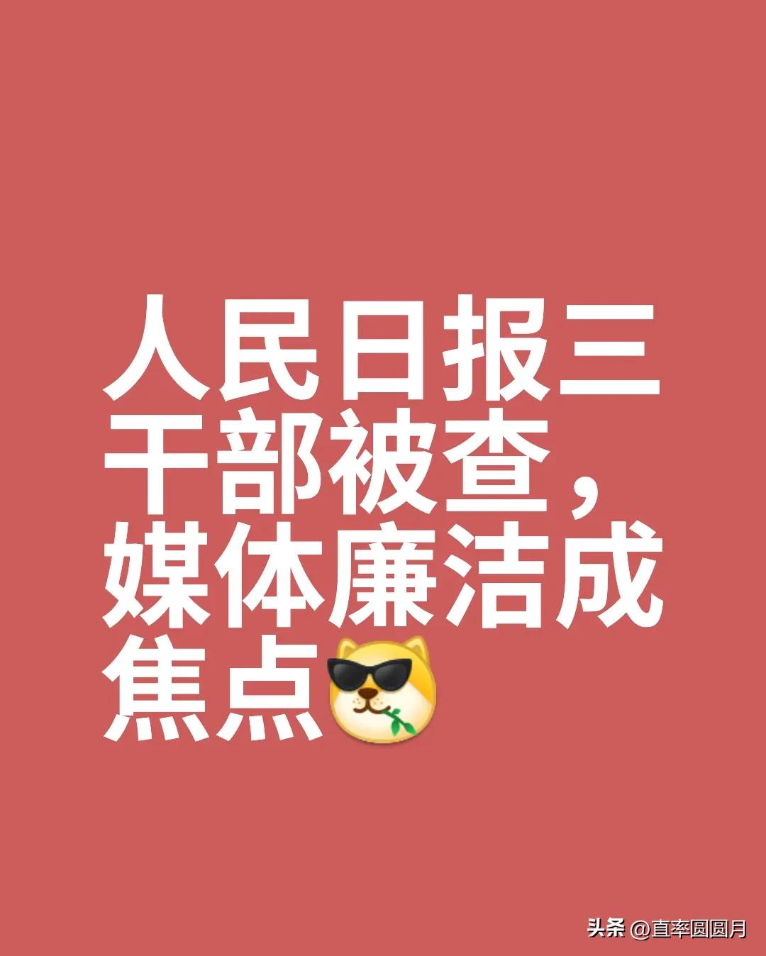 人民日报，十足的官媒。龙年年底有三位高官被查。在宣称“为人民服务”之时，他们到底