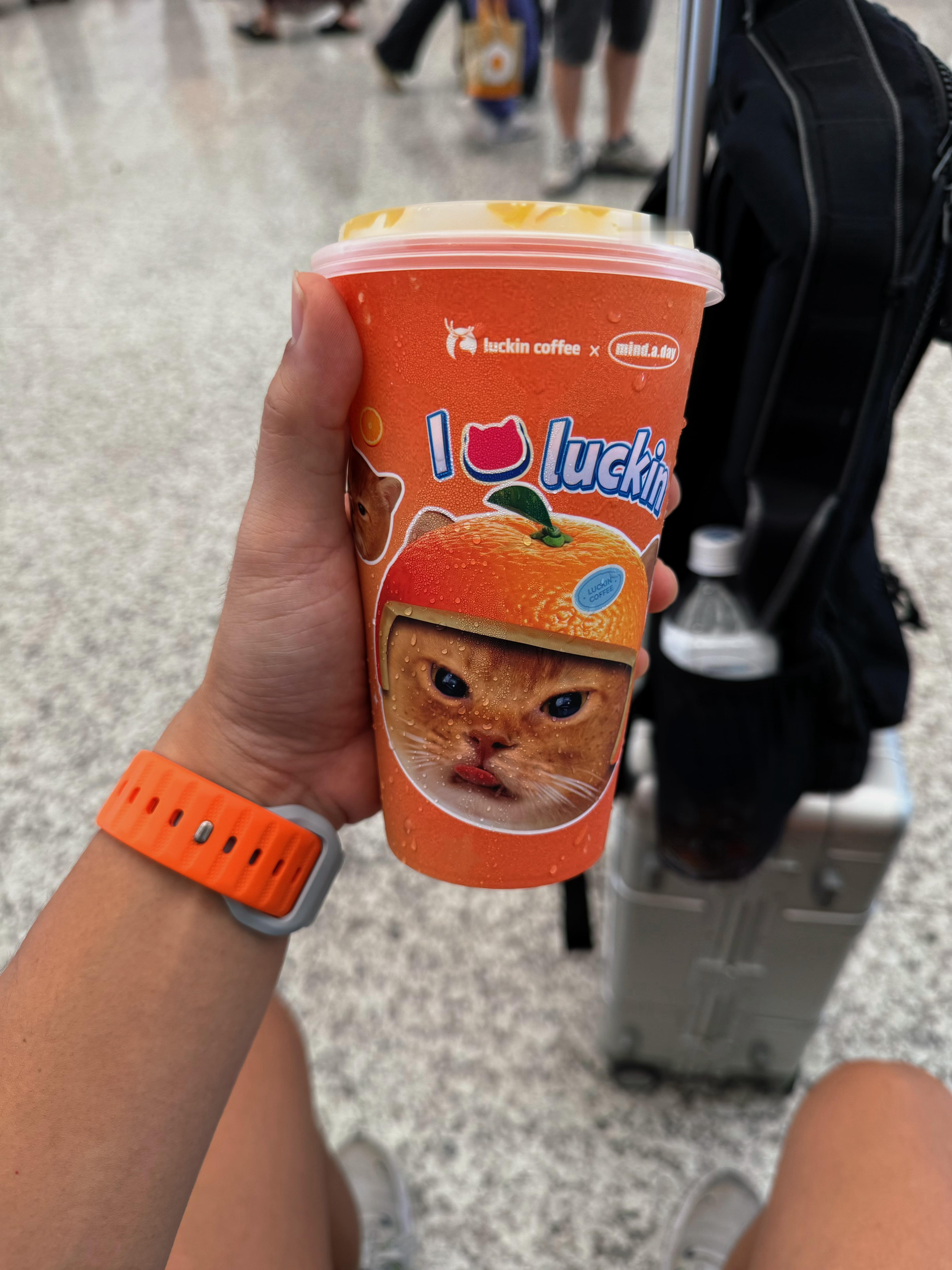有点偏甜但是好喝的[奶牛猫] ​​​