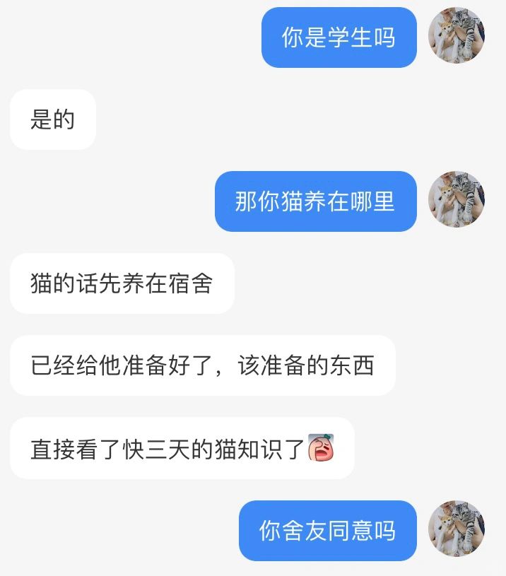 打算在宿舍养猫的大学生不要来咨询我