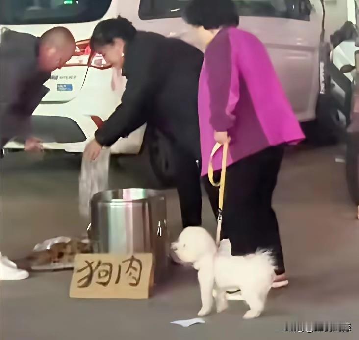 作为一个养狗的人，见到卖狗肉的还要凑过去，还要买点吃，这真是让人难以理解。没养狗