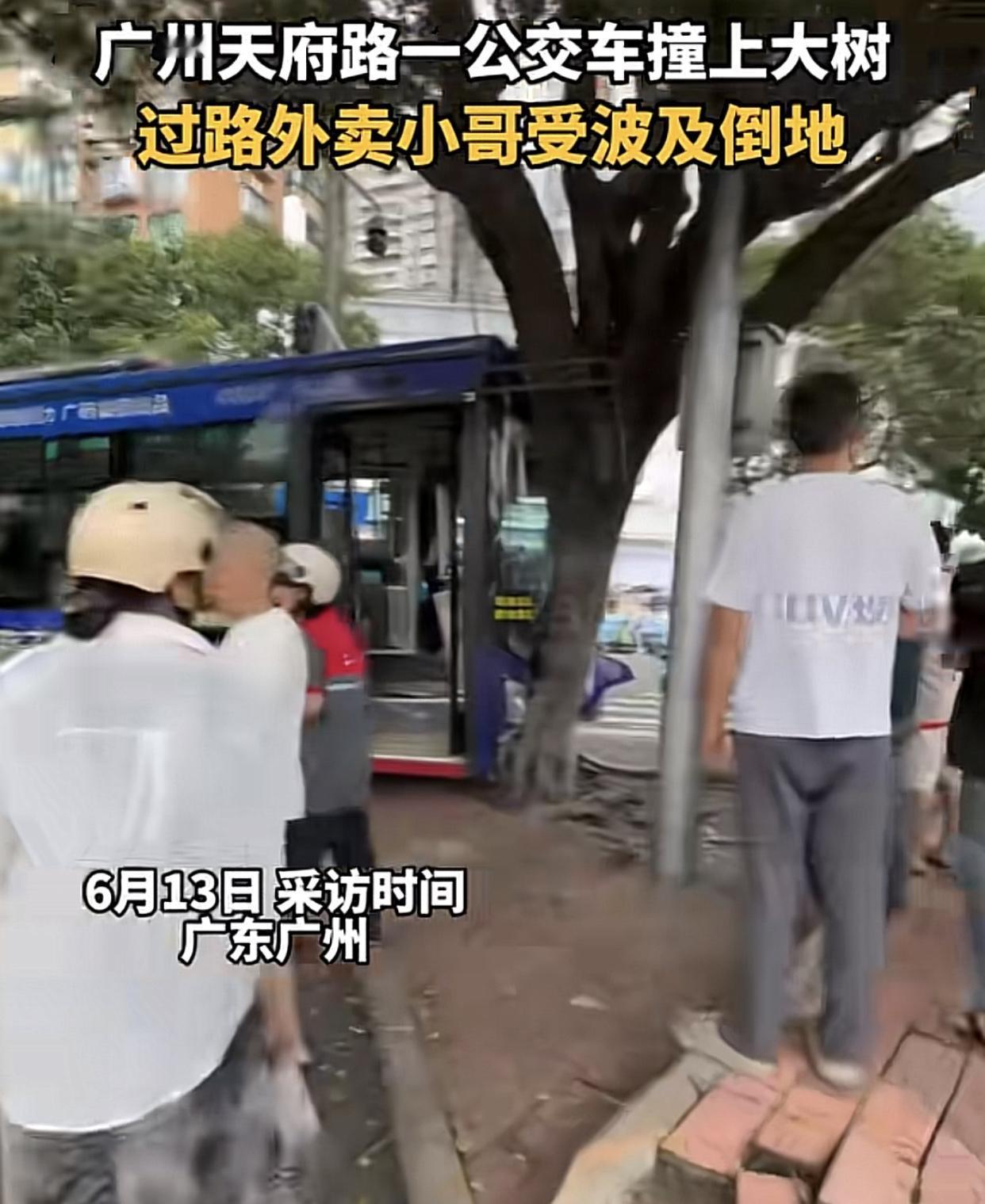 公交车撞大树！
6月12日下午两点左右，事发广州天河公园中山大道与天府路交叉路口