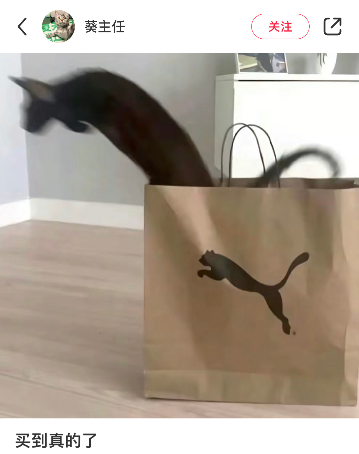 买到真的了[哆啦A梦吃惊] ​​​