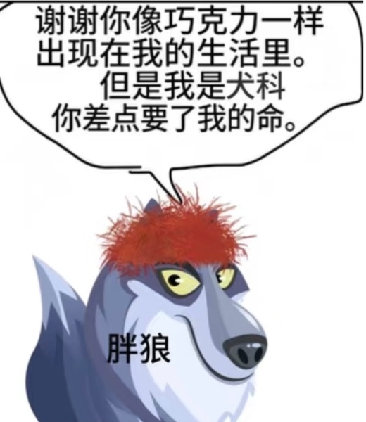分享图片 