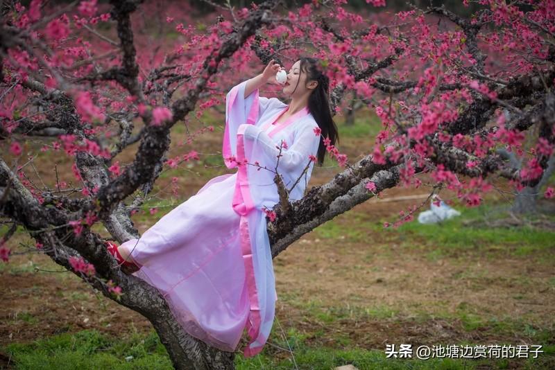 看到“飞花一梦红尘落”这个上联，着实有意境。三月飞花，仿佛红尘一场梦。有人对出“