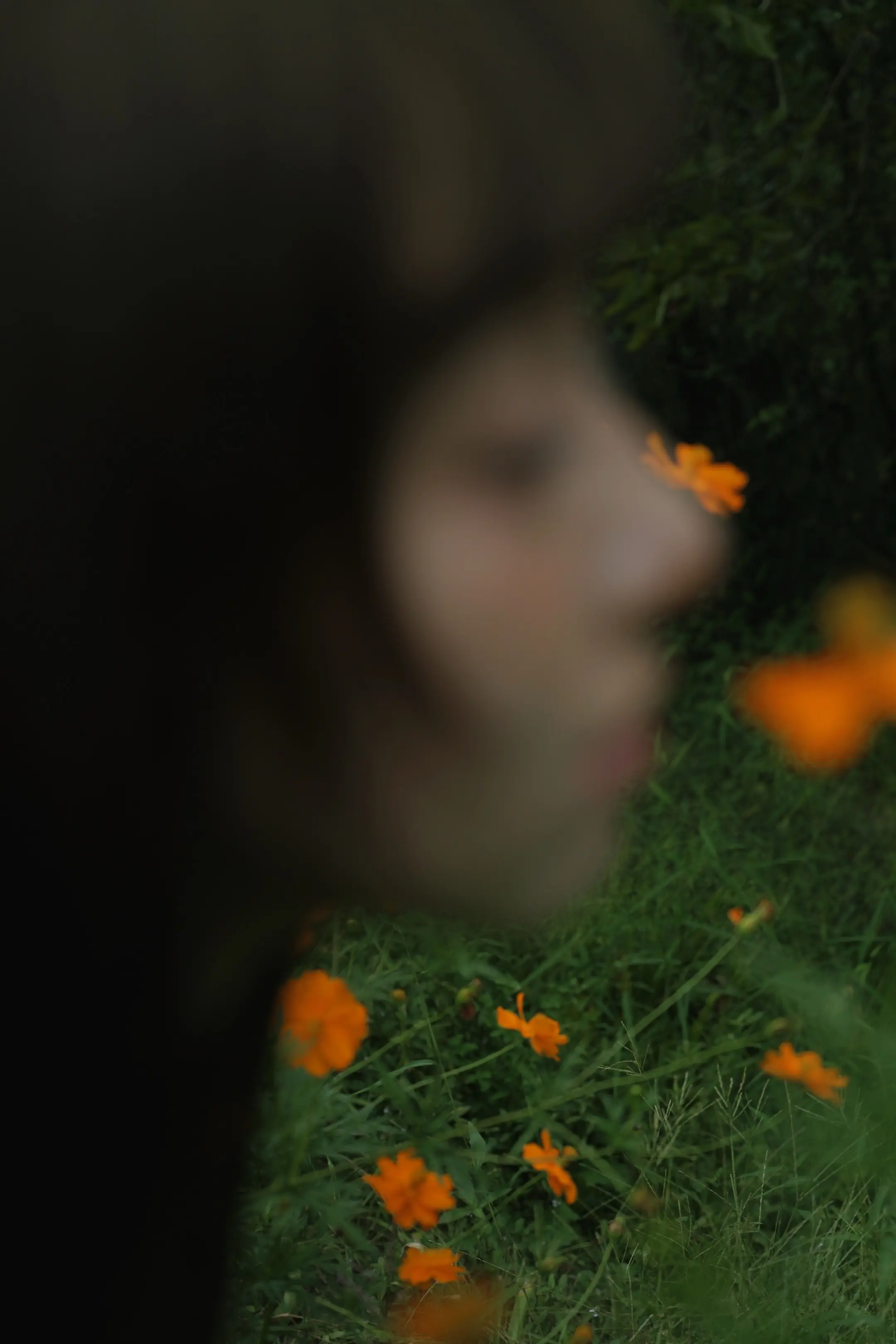 朋友说每张都像专辑封面