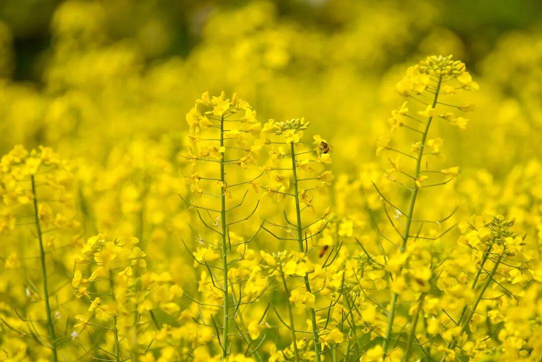 【外界的闲言碎语听听就好，千万别往心里去，更不要翻来覆去瞎琢磨；当你屏蔽掉外界的