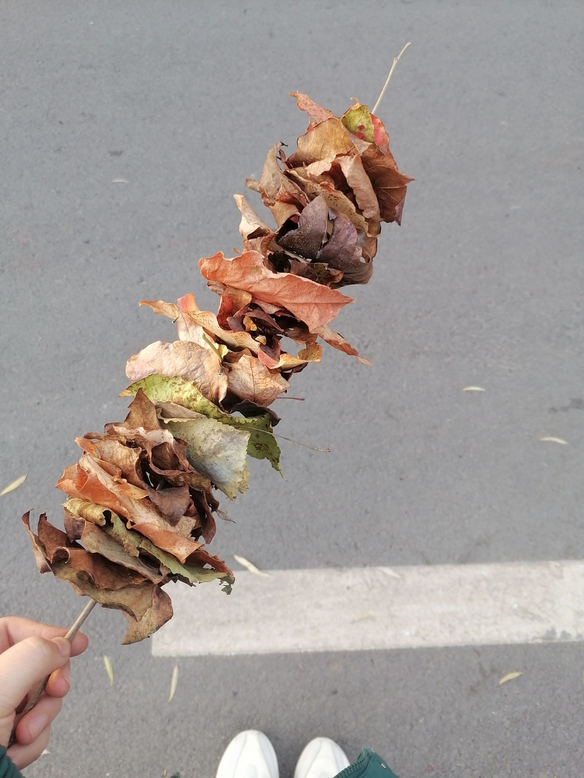 秋天里的第一串烧烤 ​​​