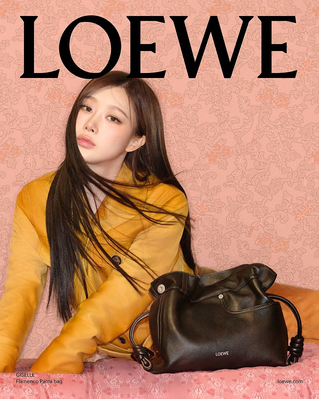 Giselle x LOEWE 2026 Spring/Summer Pre-C