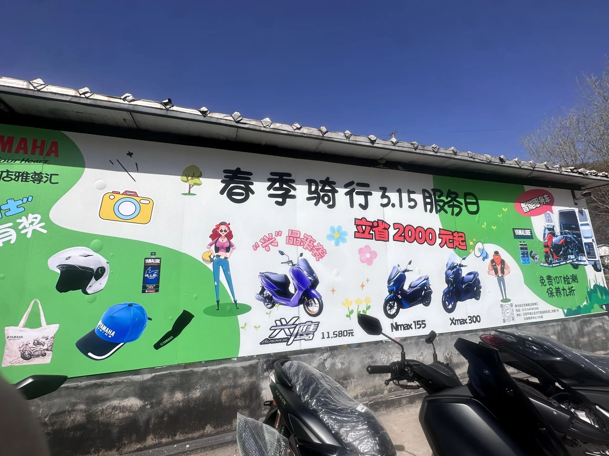 山顶骑士！
