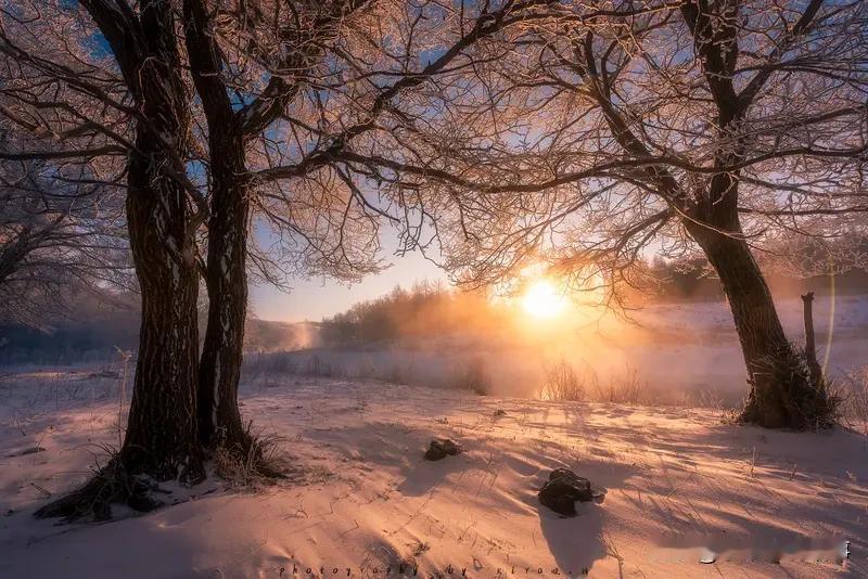 一句话记录冬日心情 一句话记录冬日心情
冬日，我窝在炉火旁，端起半盏茶，思绪飘远
