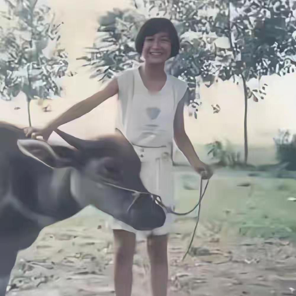 死要面子活受罪，退出春晚、被综艺