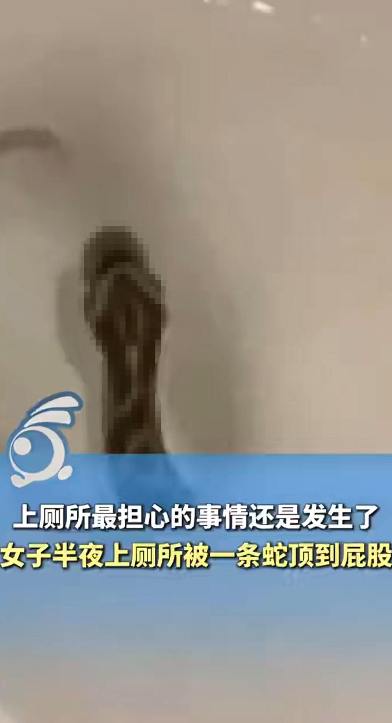 吓人！一女子半夜上厕所被一条蛇顶到屁股，吓得裤子都没穿。（出镜：刘畅；编辑：黎晓
