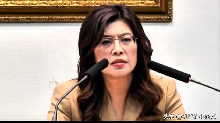 对郑丽文别抱有太多幻想！她就是个十足的投机者。
国民党名义上承认两岸同属一个中国