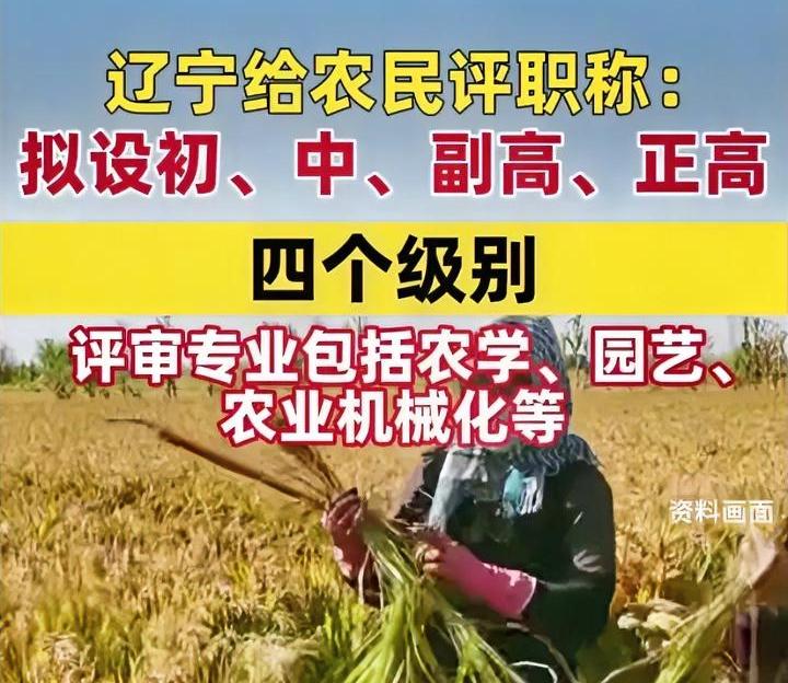 给农民评职称这事，光学历这一块就筛除了99％的农民，如果叫“给高学历人才评农民职