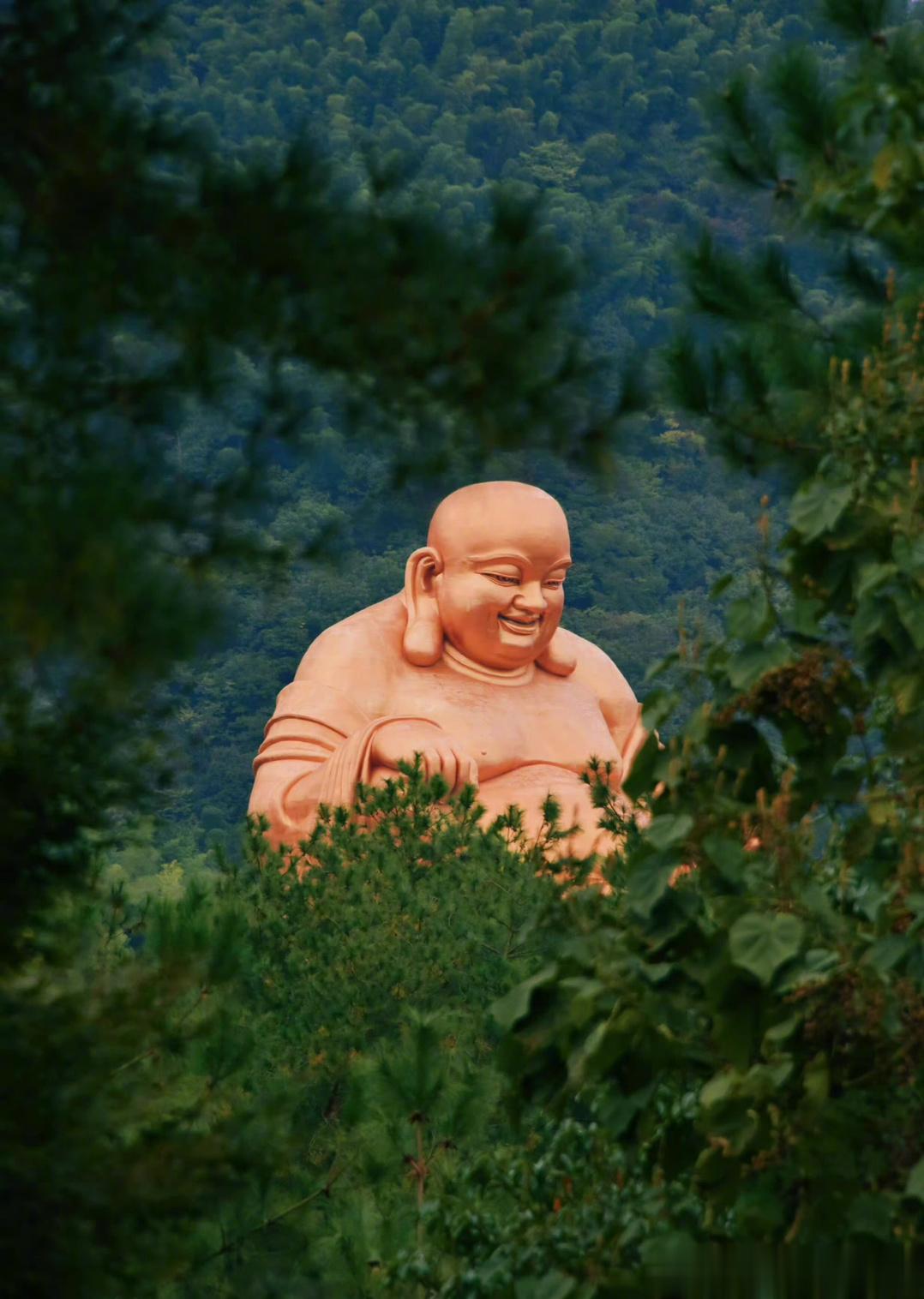 转赞，出门逢贵人，百般如意，诸事大吉 ​​​。 ​​​