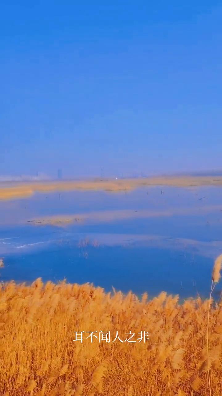 人一旦悟透了就会变得很沉默，不是没有与人相处的能力，而是没有逢场作戏的兴趣。耳不