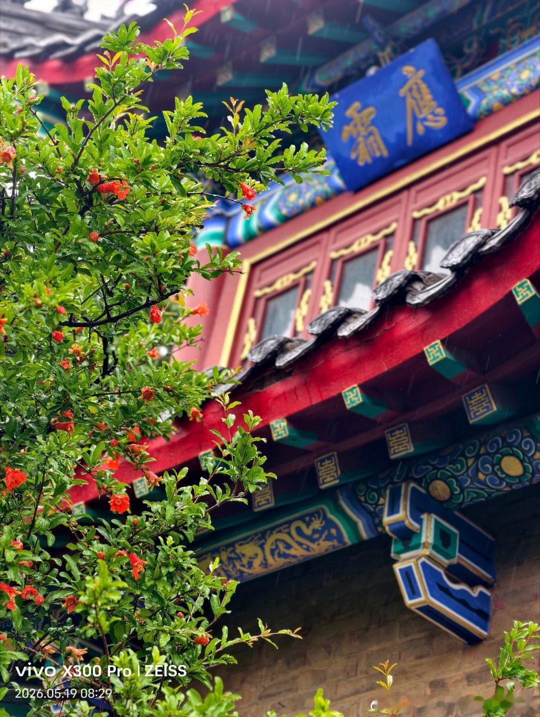 渔家傲·小满将至五月熏风催夏早，明朝小满风光好。遍野新禾盈翠草，晴光绕，田家渐觉
