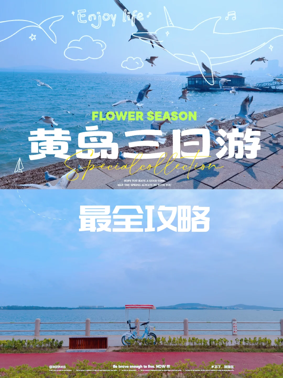 青岛还有个黄岛？后悔没早点发现❗️