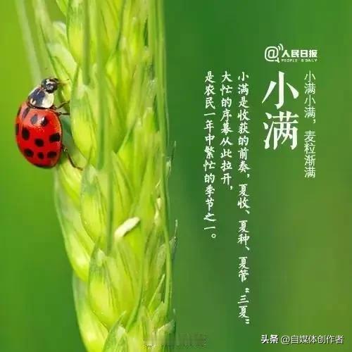小满藏深意 人间半圆满
 
时序更迭之间，初夏专属节气小满如约登场。熟知天文历法