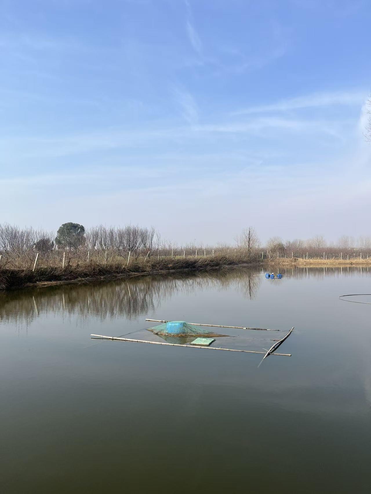 今儿个天气是真不赖，蓝盈盈的天连一丝厚云都没有，就飘着几缕淡淡的云丝。

站在水