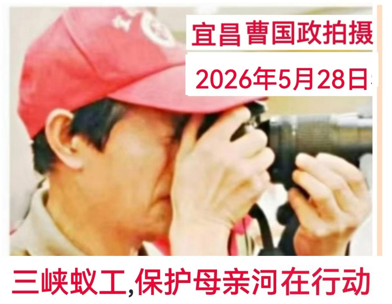  [ 宜昌新媒体曹国政报道 ] 2026年5月28日上午8点30分，三峽蚁工组织
