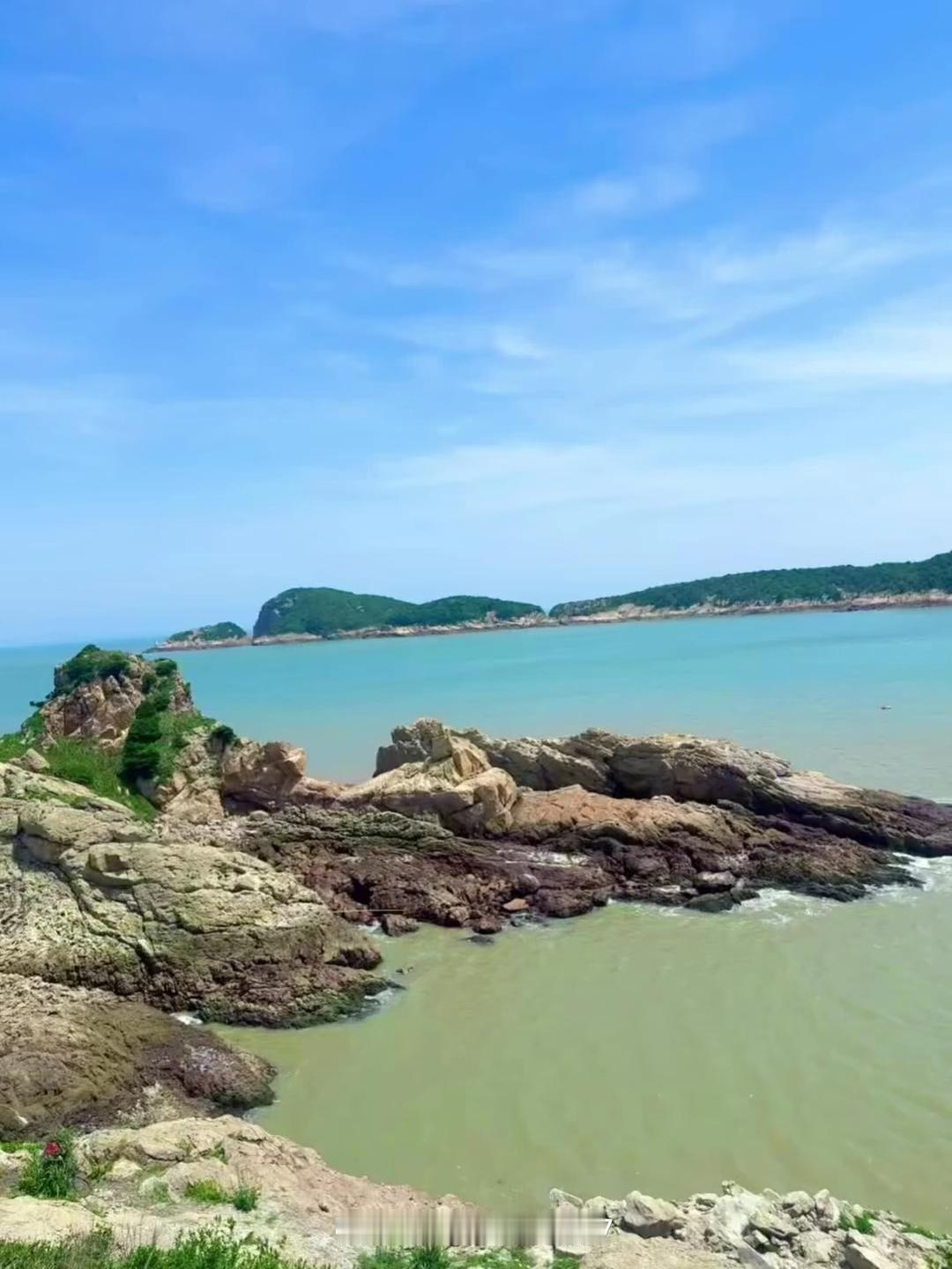 随手拍下初夏美景