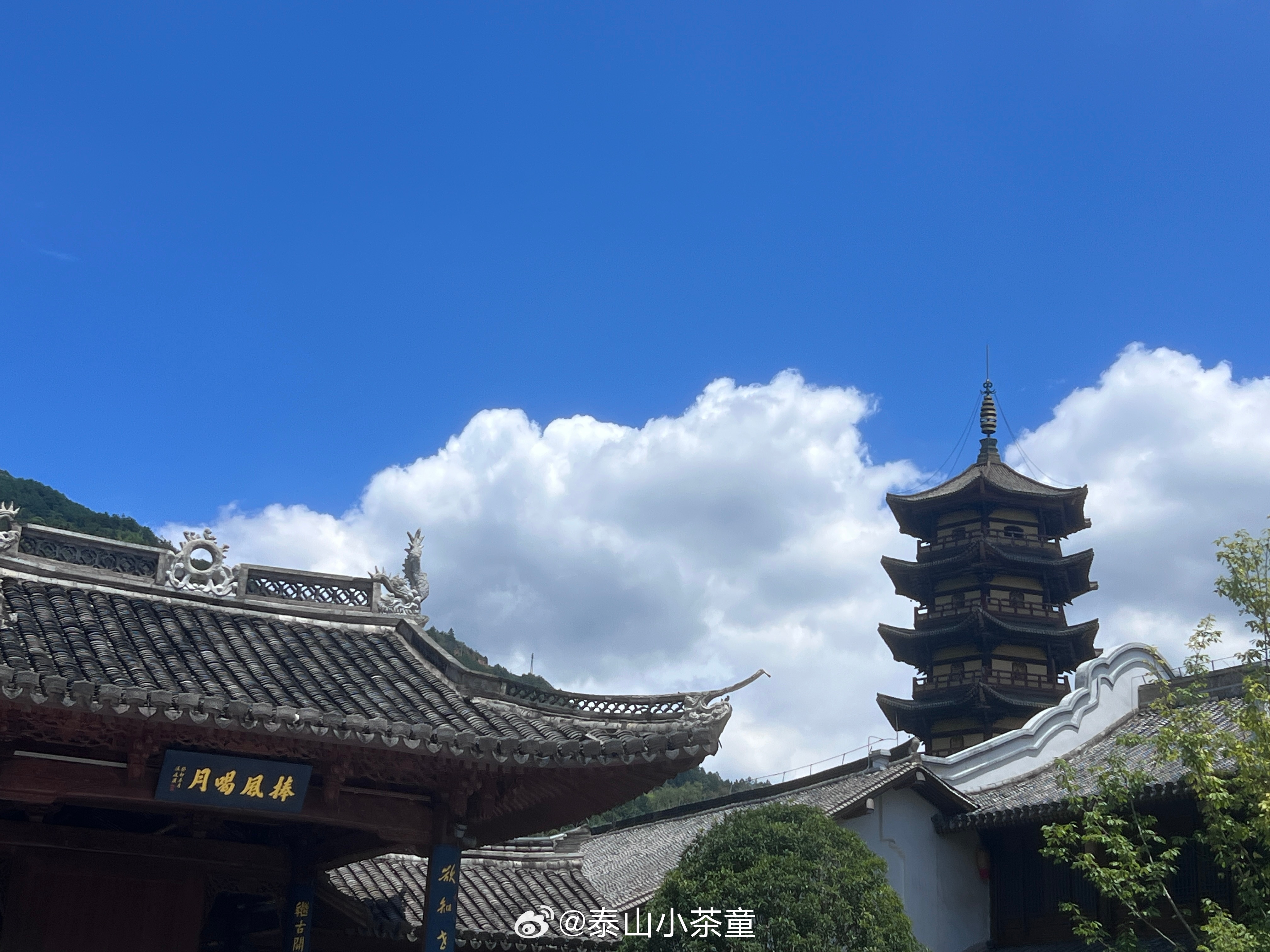 夏日碎片 温州·大罗山