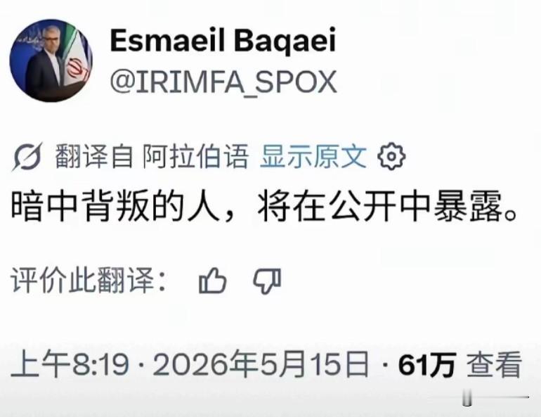 这是伊朗外交部发言人的警告，
暗中背叛的人会被公开暴露，结合局势指向内鬼、周边国