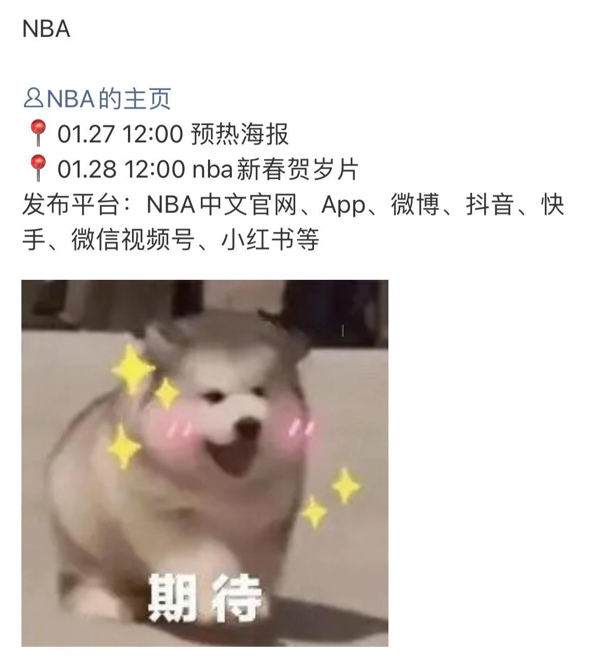 任嘉伦又要去NBA了？ 