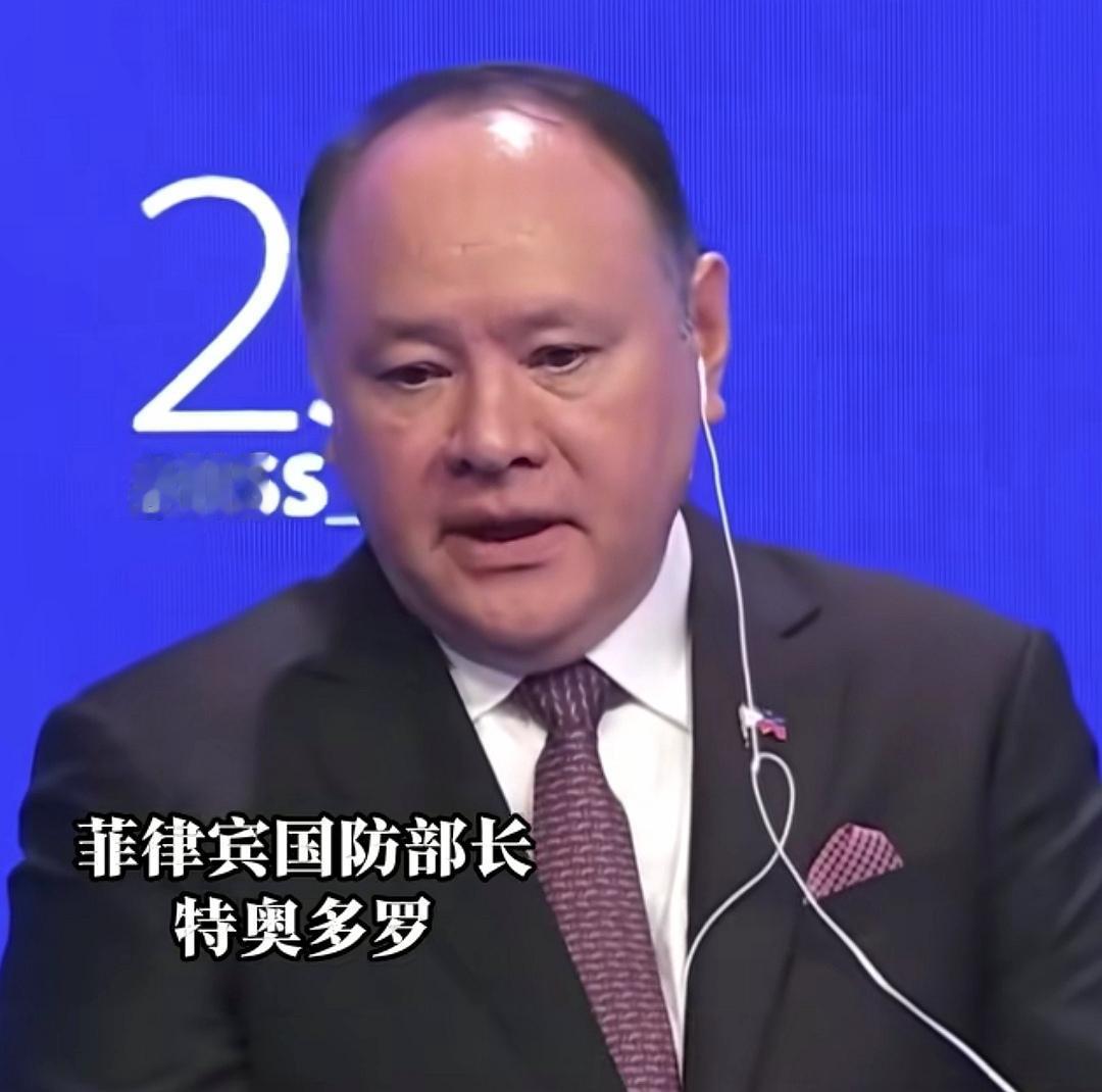 6月11日，中国外交重拳出手！宣布对菲律宾国防部长吉尔伯特·特奥多罗及其配偶、子