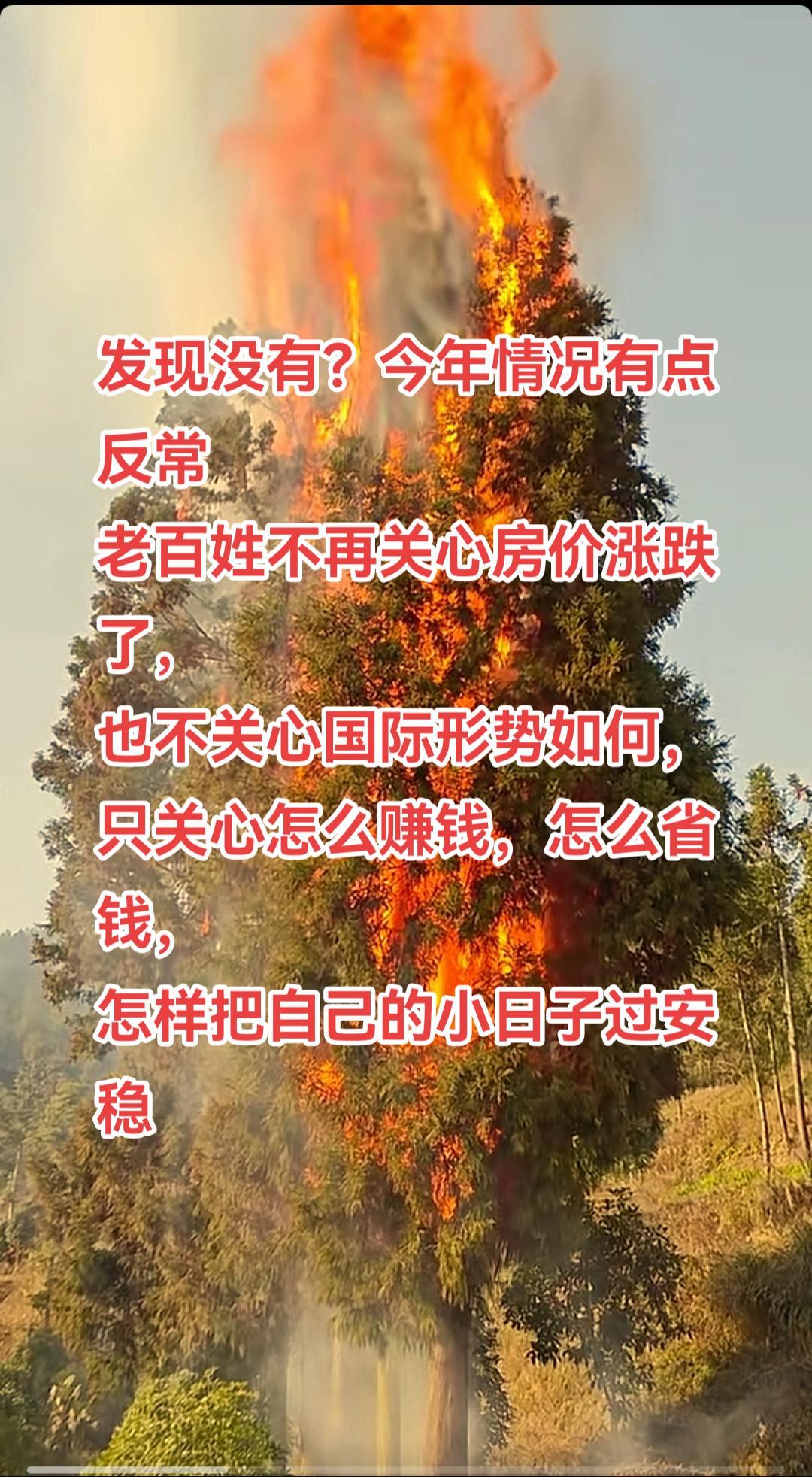 发现没有？今年反常的很，老百姓不再关心房价涨跌了，也不关心国际形势如何，只关心怎