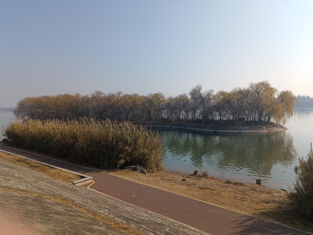 通过权威媒体，知道现在日本经济情况非常糟糕。
年底的时候，他们买不起大米；现在，