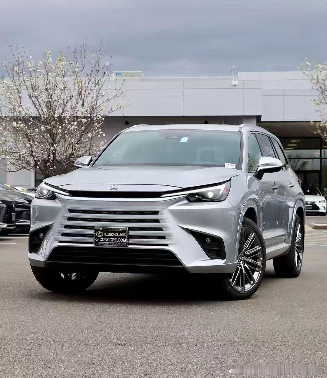 TX500h第一批接受预定• 2.4T涡轮 + 油电混动• 综合366匹马力• 