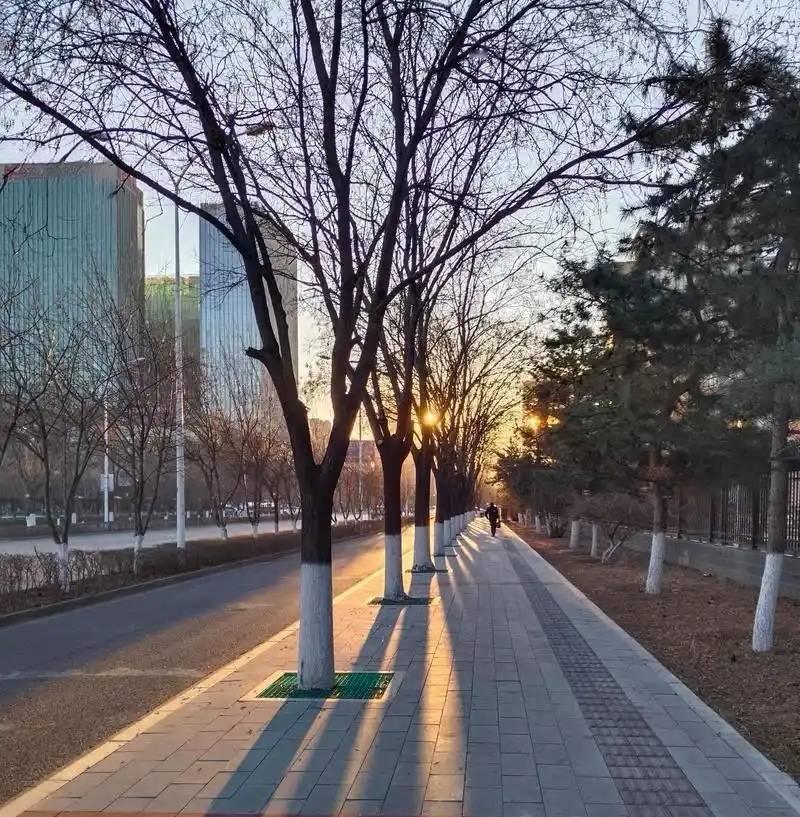 清江引·又一年
兜转时光年复转，
为那油盐倦。
愁多鬓染霜，
梦浅颜添叹。
闲时