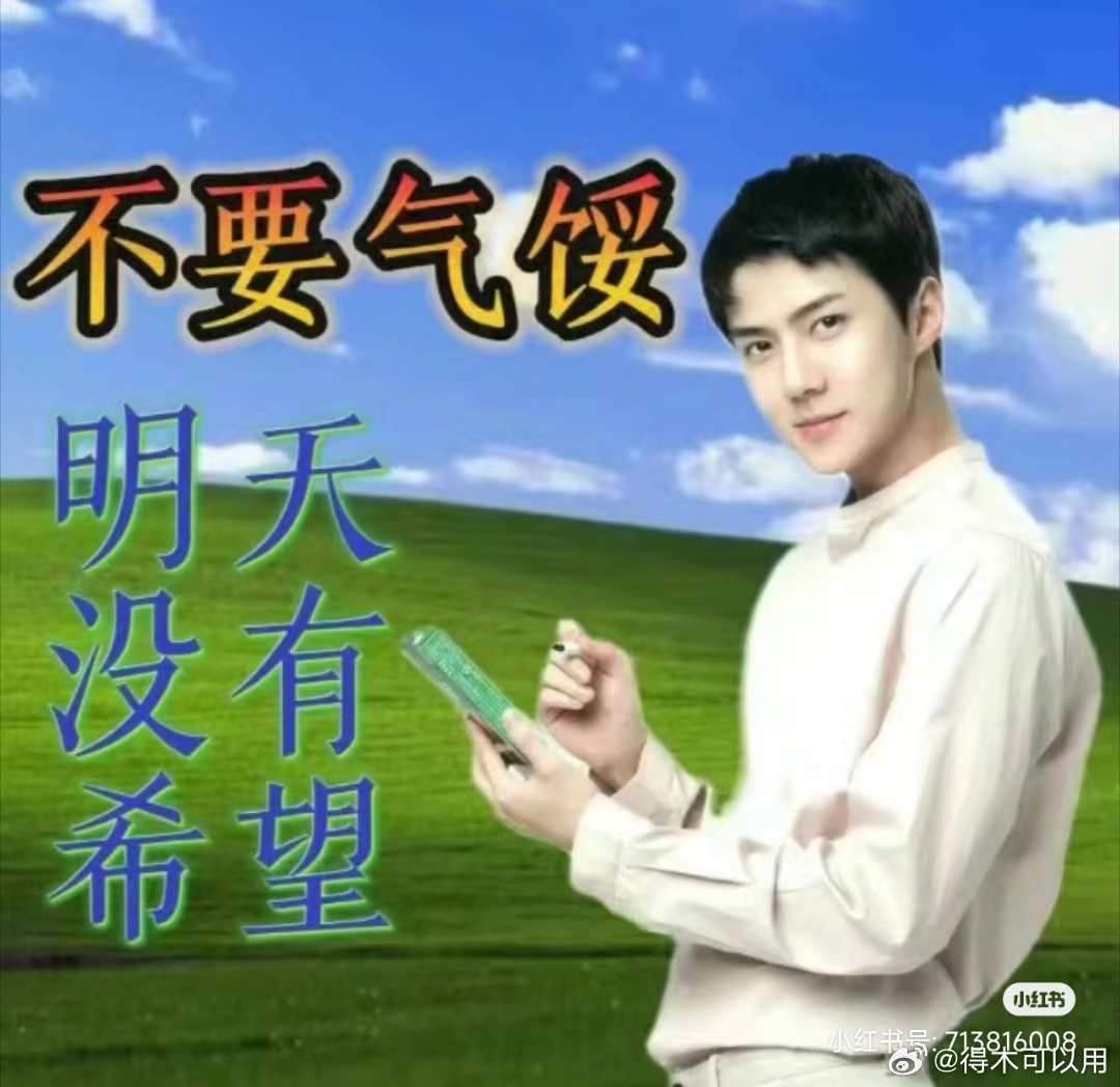看来大家最想当guan印or杀印女[可怜]。（据说可以被养着hhh），很好，很符