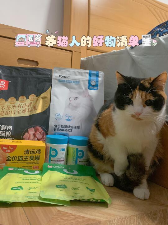 养猫人的好物清单🧾
