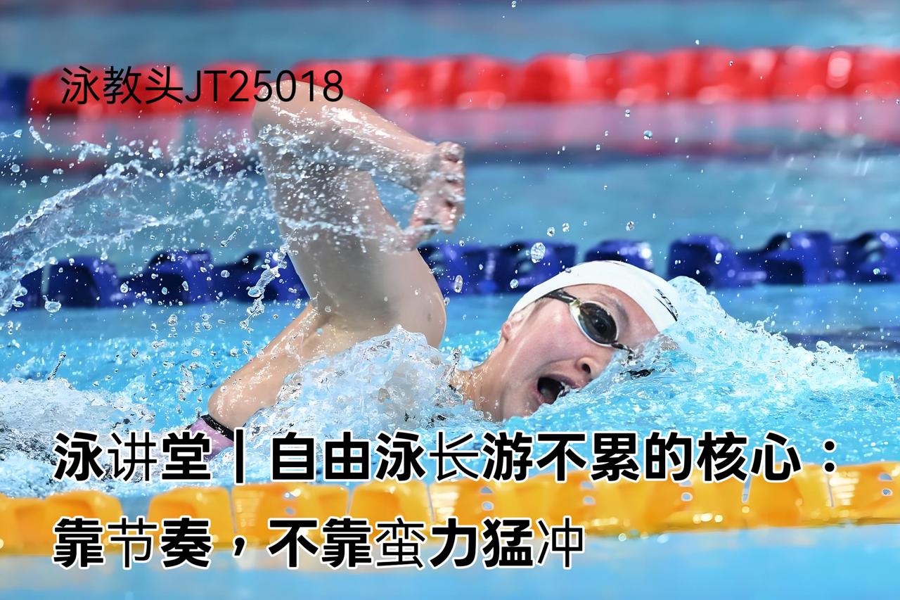 泳教头 | 泳讲堂：自由泳长游不累的核心：靠节奏，不靠蛮力猛冲  
 
很多泳友