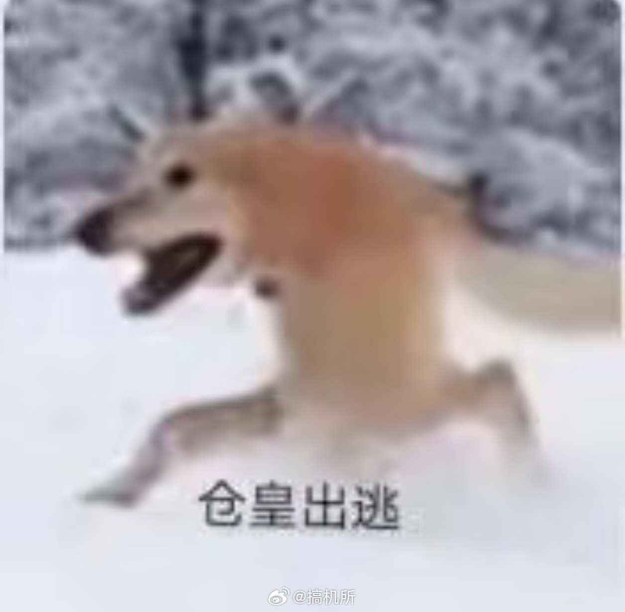 第一次对年假有了实感一般都是攒一波大的年假，趁着淡季出去旅行，机票便宜、酒店便宜